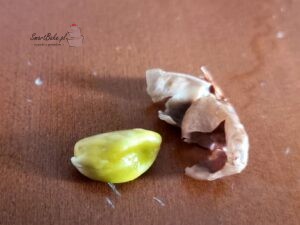 skorupka i pistacja